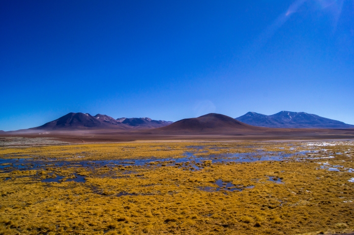 San Pedro de Atacama-78.jpg
